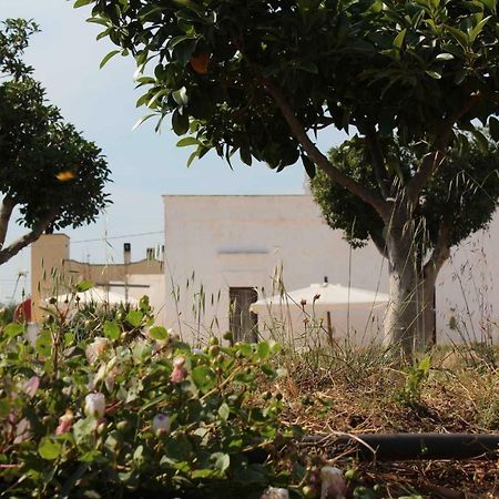 La Casa Bianca Ξενοδοχείο Monopoli Εξωτερικό φωτογραφία