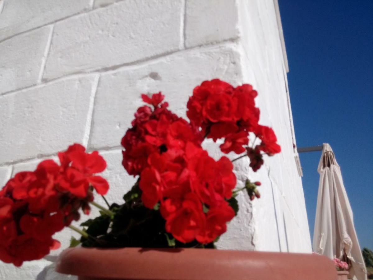 La Casa Bianca Ξενοδοχείο Monopoli Εξωτερικό φωτογραφία