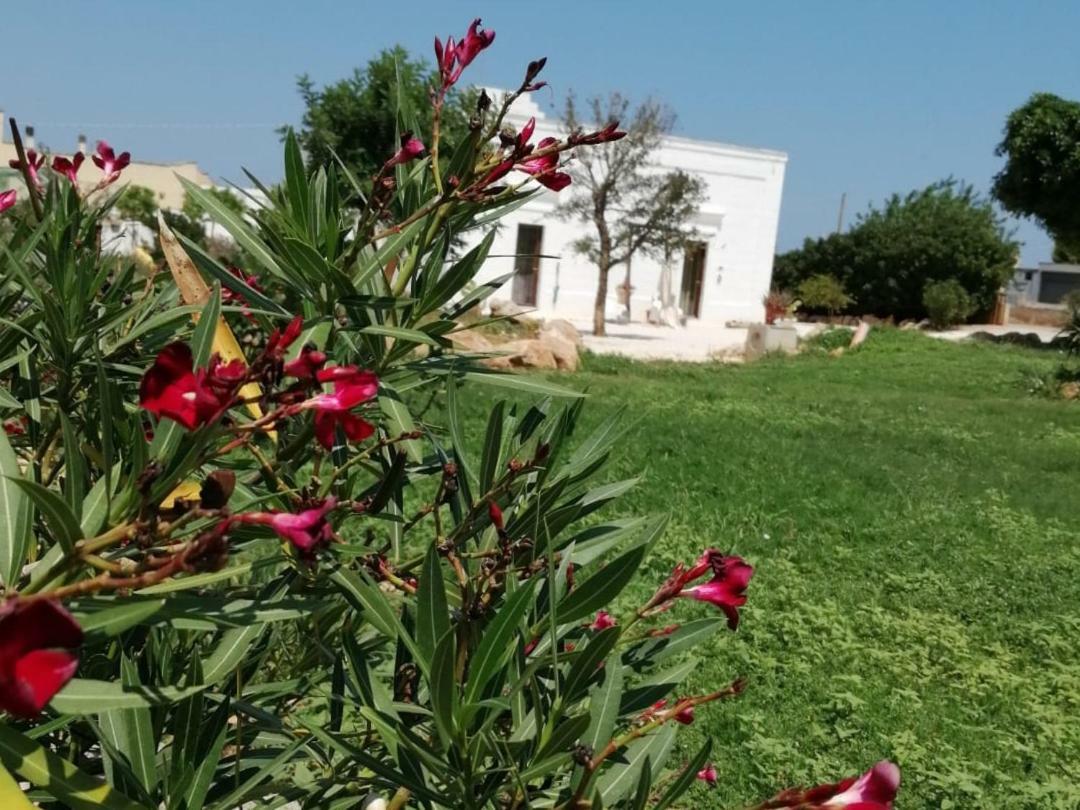 La Casa Bianca Ξενοδοχείο Monopoli Εξωτερικό φωτογραφία