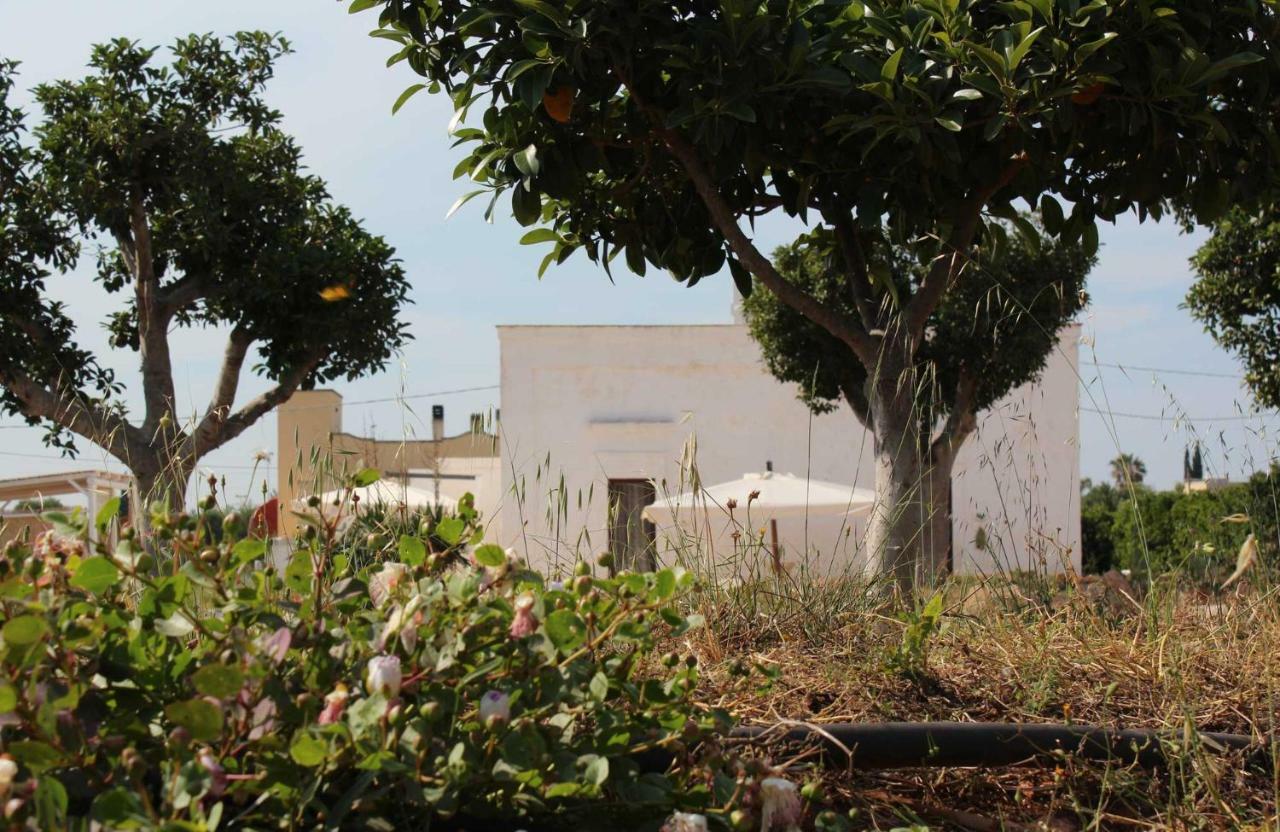 La Casa Bianca Ξενοδοχείο Monopoli Εξωτερικό φωτογραφία