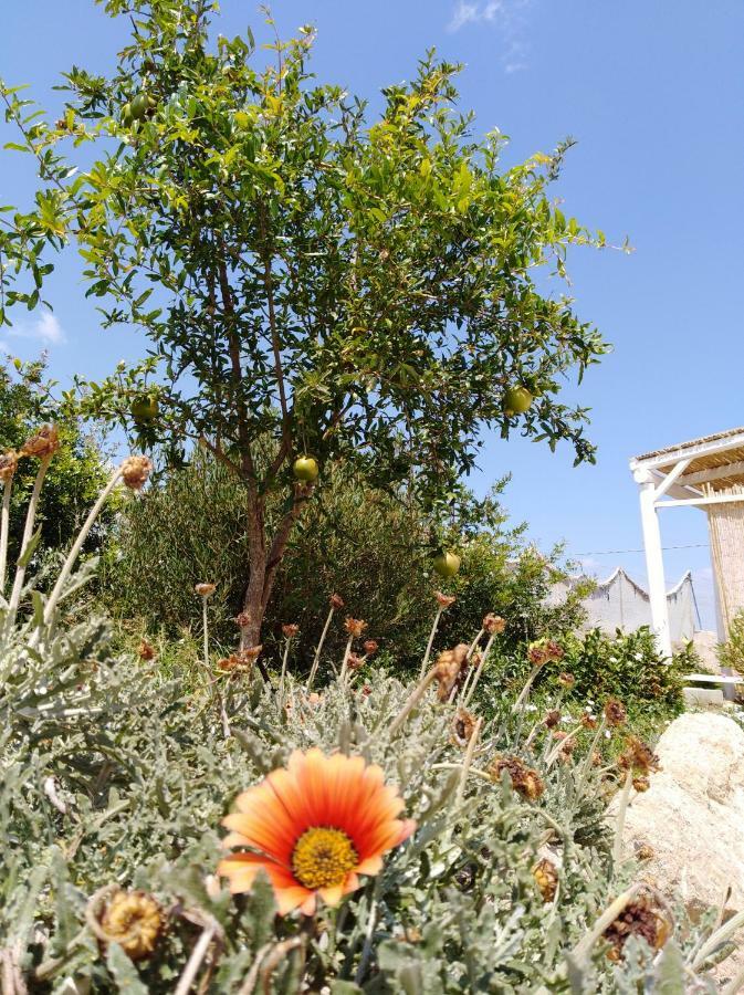 La Casa Bianca Ξενοδοχείο Monopoli Εξωτερικό φωτογραφία